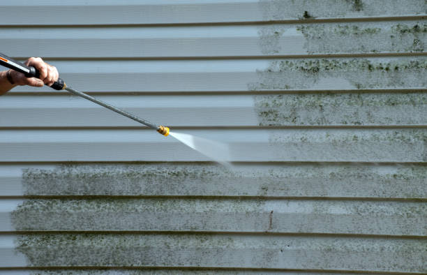 Trusted Le Mars, IA Pressure washing Experts